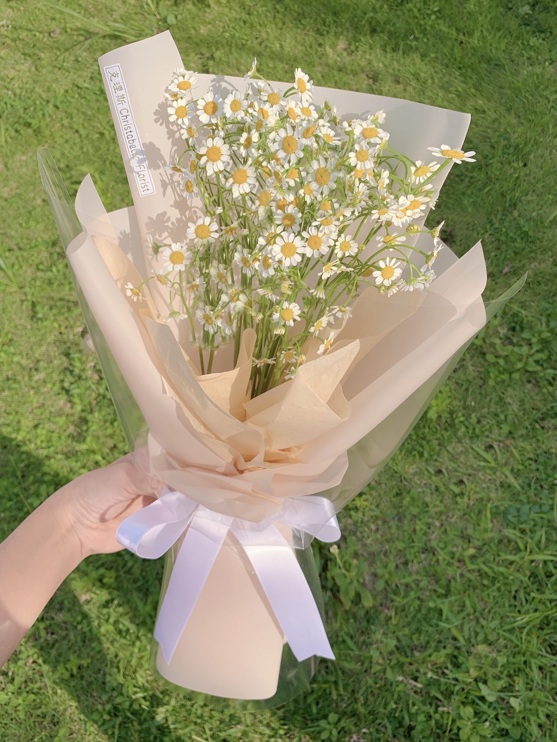 Fresh Chamomile Flower Bouquet