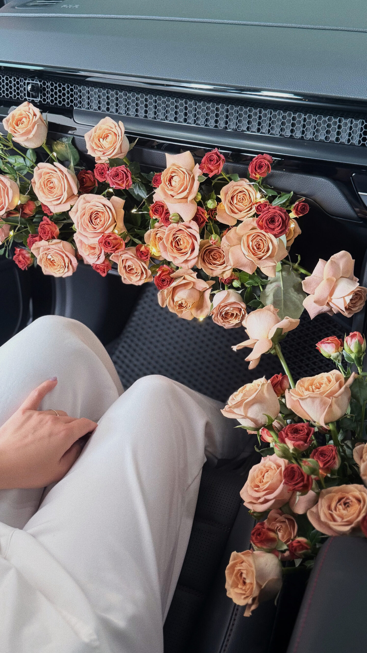 Car Surprise